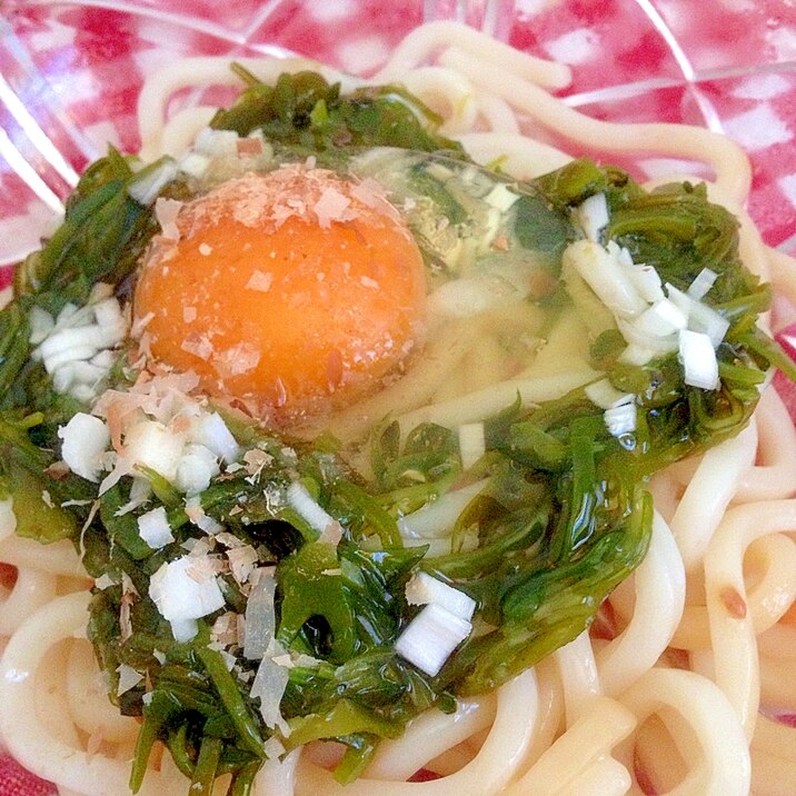 めかぶと卵の冷やしうどん♡